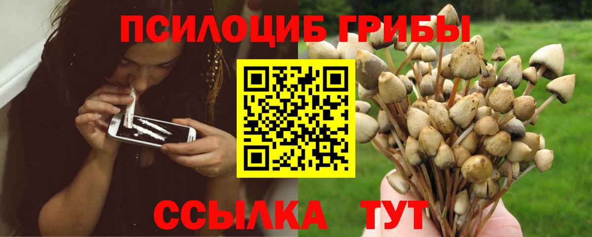 Обнинск  Псилоцибиновые грибы Magic Shrooms  хочу наркоту  Вход с VPN 